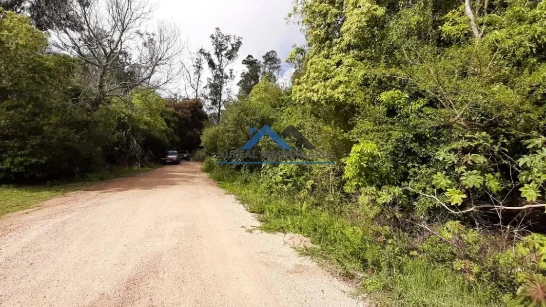 Venta Terreno de 730m2 en Punta Ballena a metros de Laguna del Sauce - Maldonado - Imagen 3