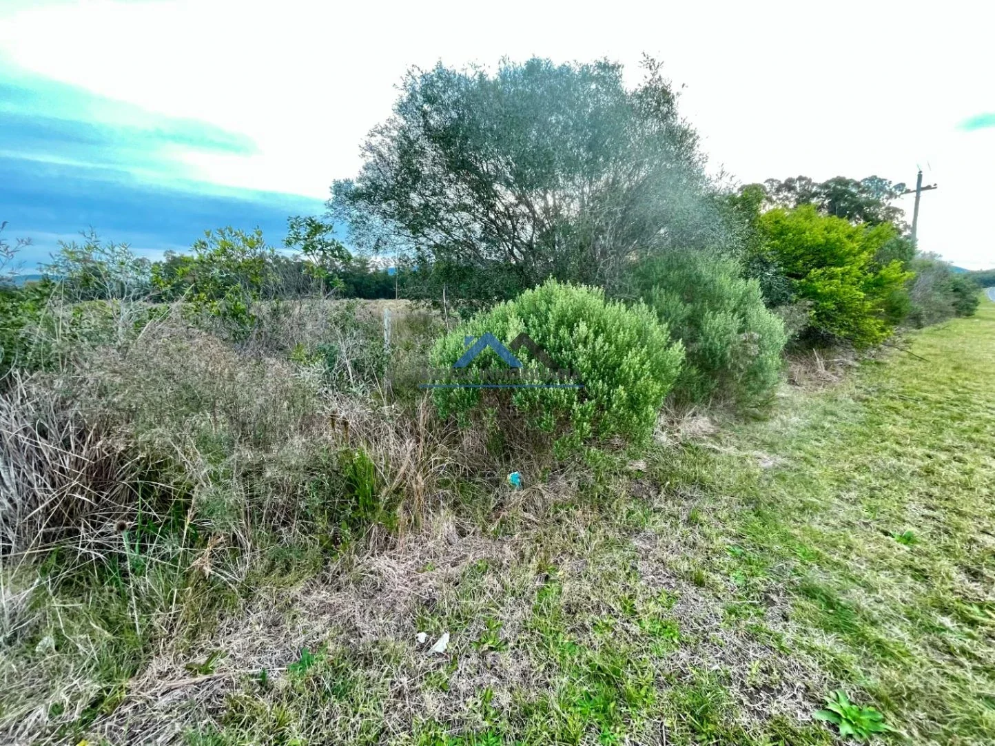 Chacra en venta de 5ha ubicado en Pan de Azúcar - Imagen 4