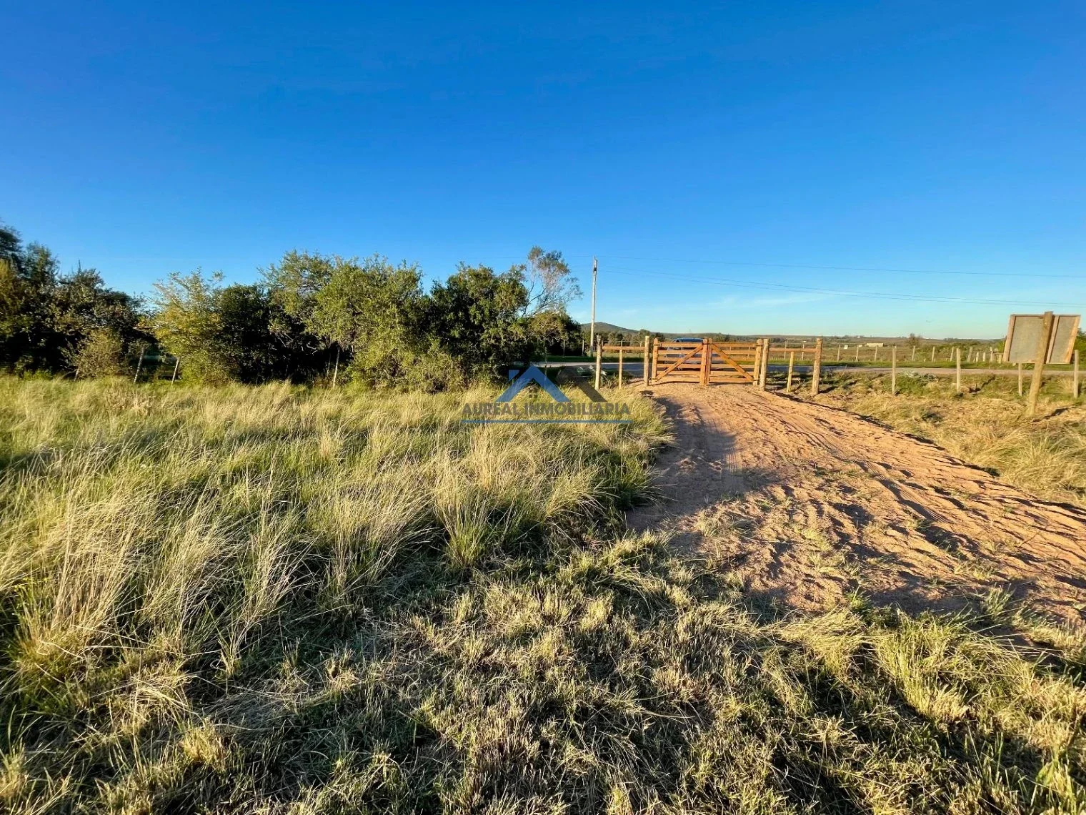 Chacra en venta de 5ha ubicado en Pan de Azúcar - Imagen 4