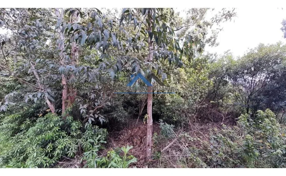 Venta Terreno de 730m2 en Punta Ballena a metros de Laguna del Sauce - Maldonado - Imagen 4