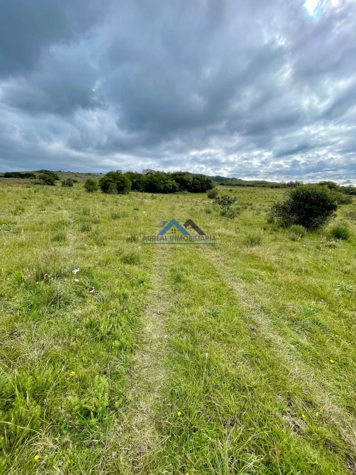 Campo en venta de 40ha ubicado en Pan de Azúcar - Imagen 2