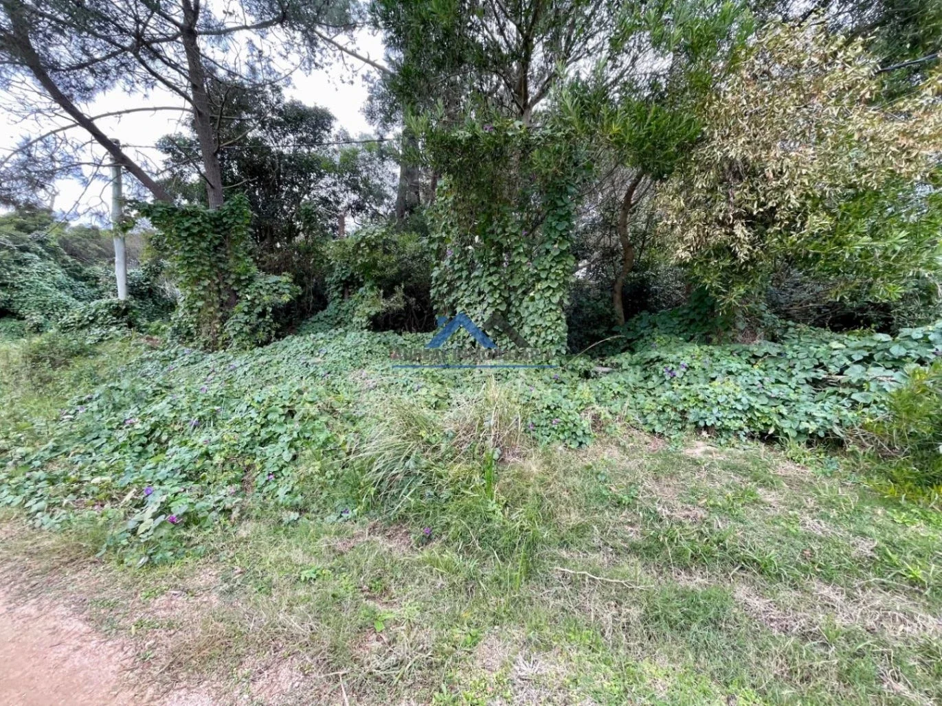 Terreno en venta de 1024m2 ubicado en Ocean Park - Imagen 5