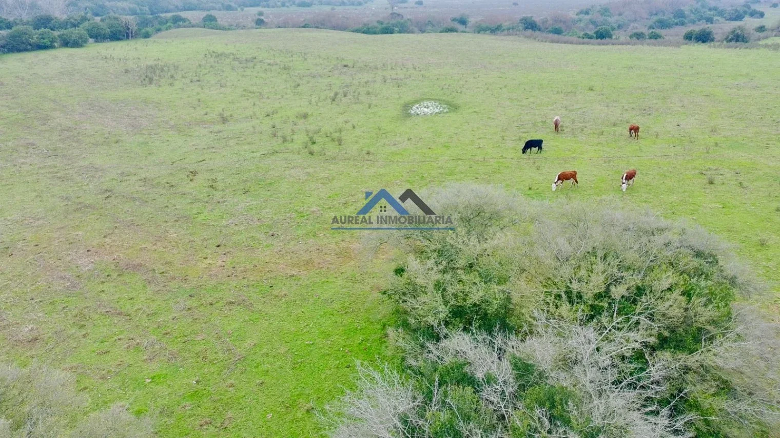 Campo en venta de 38m2 ubicado en Solís - Imagen 2