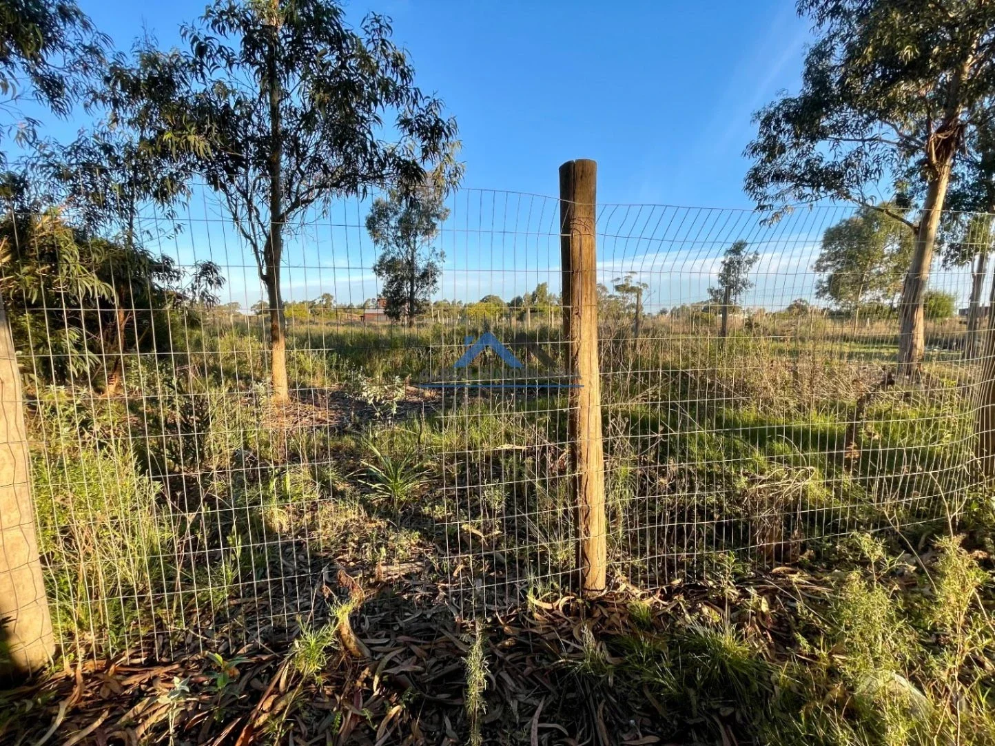 Terreno en venta de 1029m2 ubicado en Barra De Portezuelo - Imagen 2