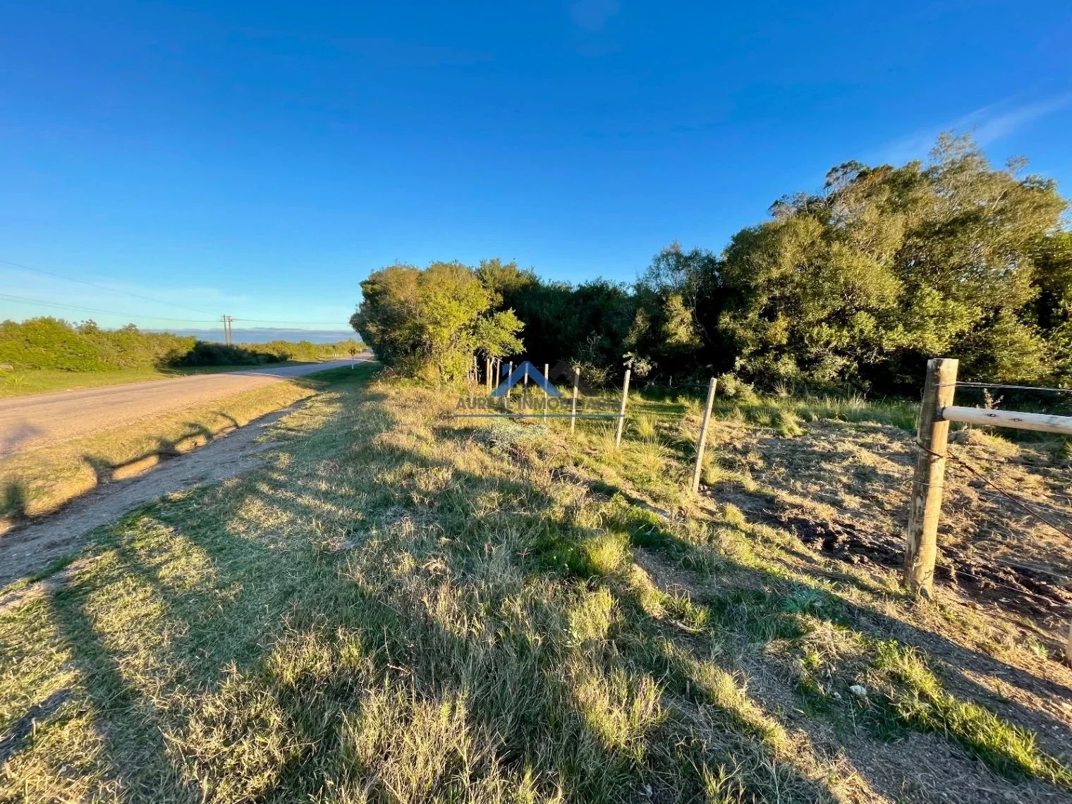 Chacra en venta de 5ha ubicado en Pan de Azúcar - Imagen 2