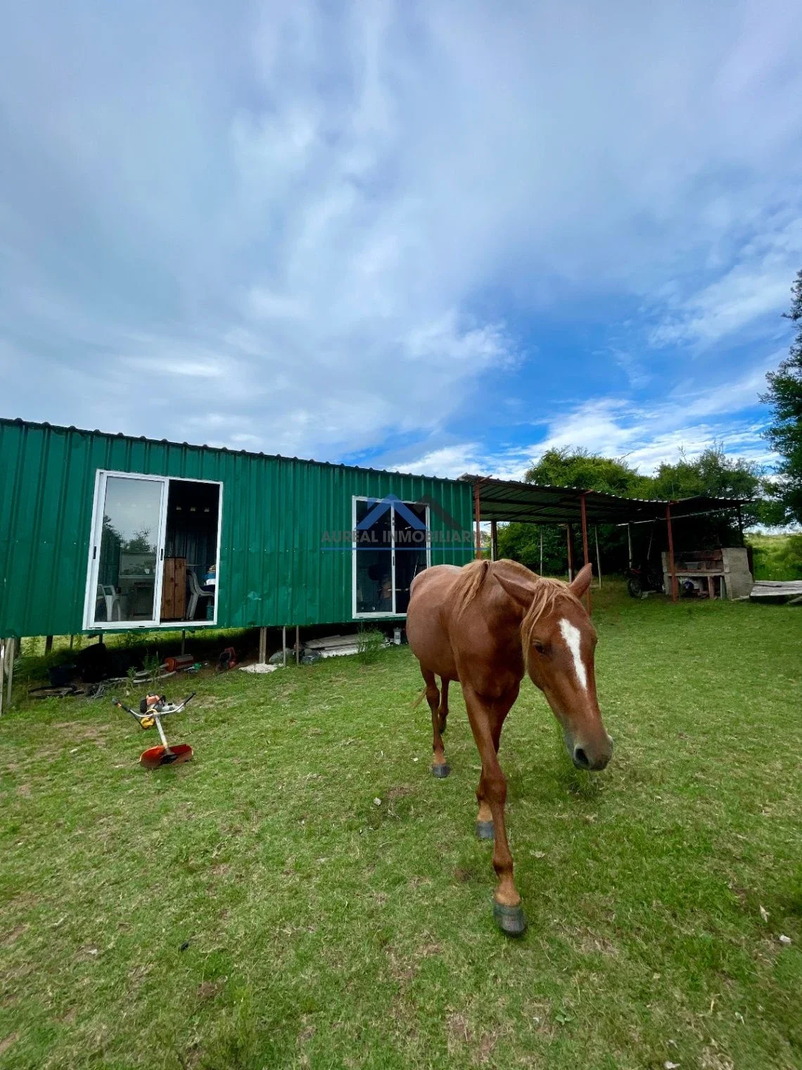 Venta chacra con casa en Pan de Azúcar - Maldonado - Imagen 3