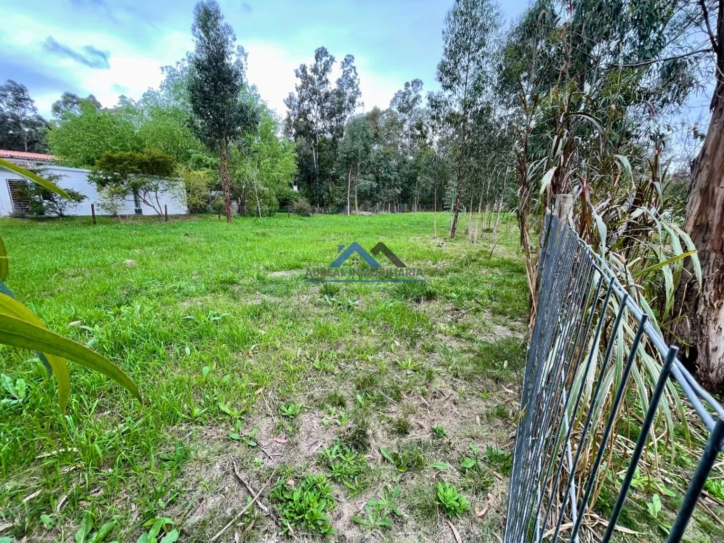 Terreno en venta de 1150m2 ubicado en Bella Vista - Imagen 4