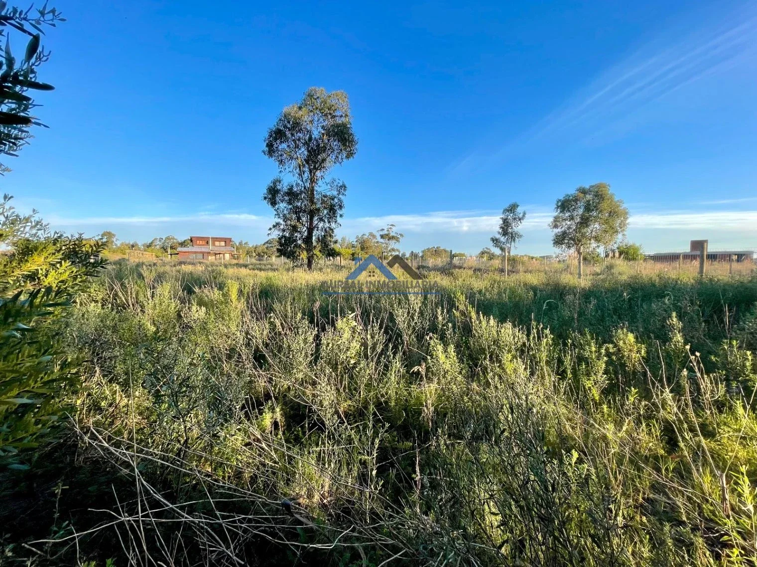 Terreno en venta de 1029m2 ubicado en Barra De Portezuelo - Imagen 5