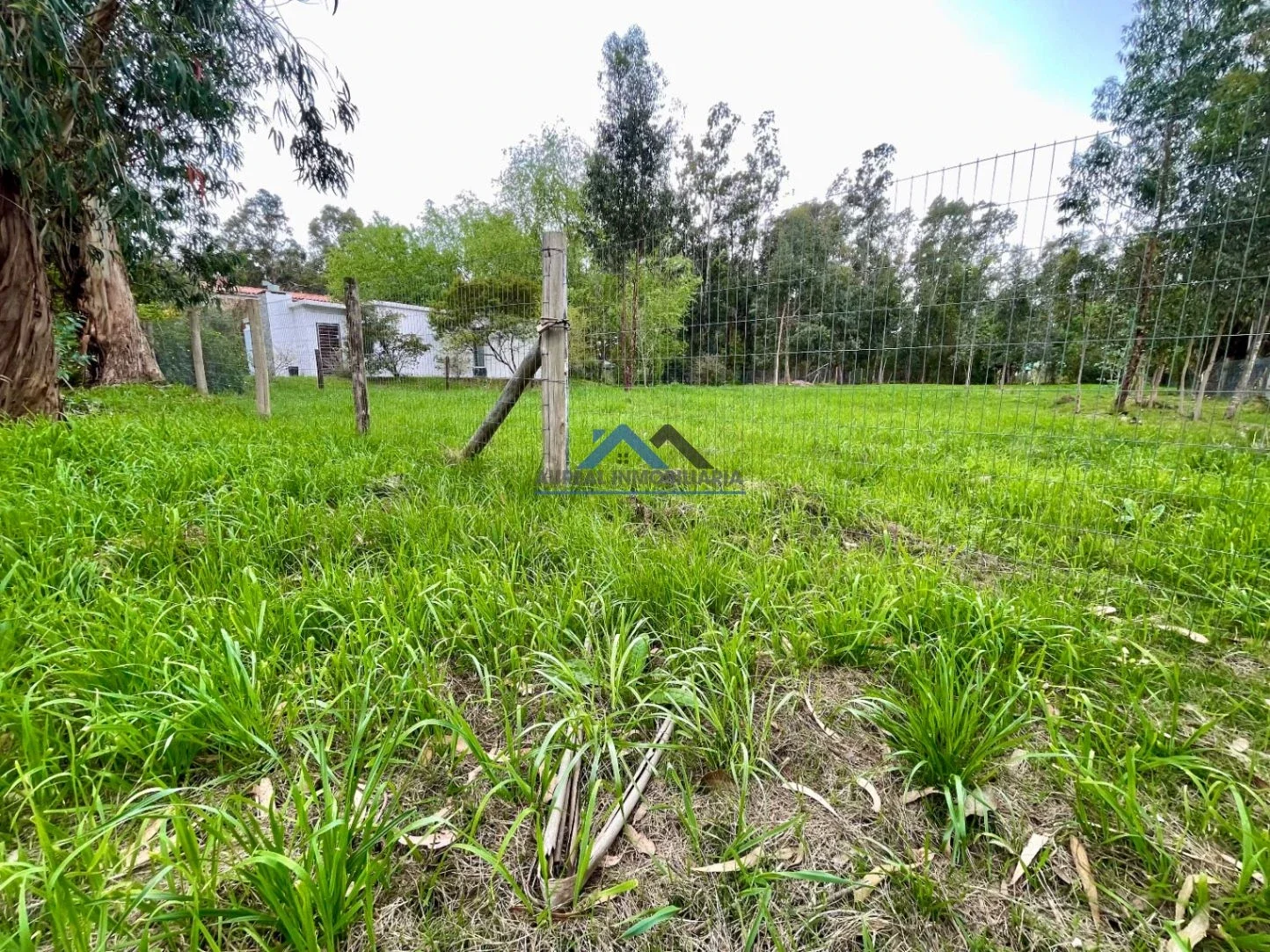 Terreno en venta de 1150m2 ubicado en Bella Vista - Imagen 3