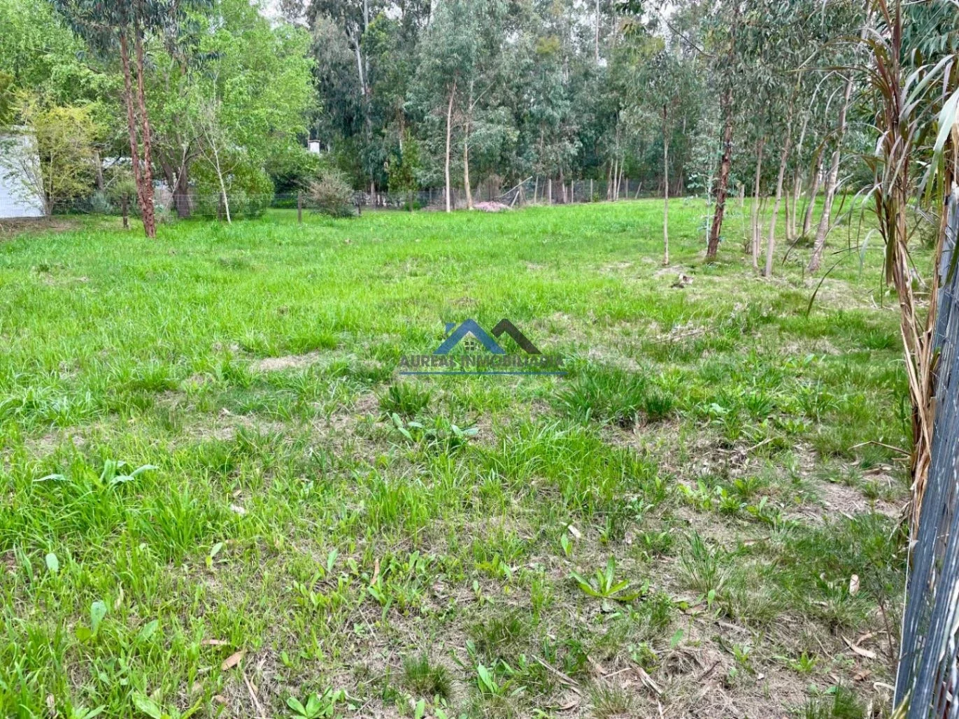 Terreno en venta de 1150m2 ubicado en Bella Vista - Imagen 5
