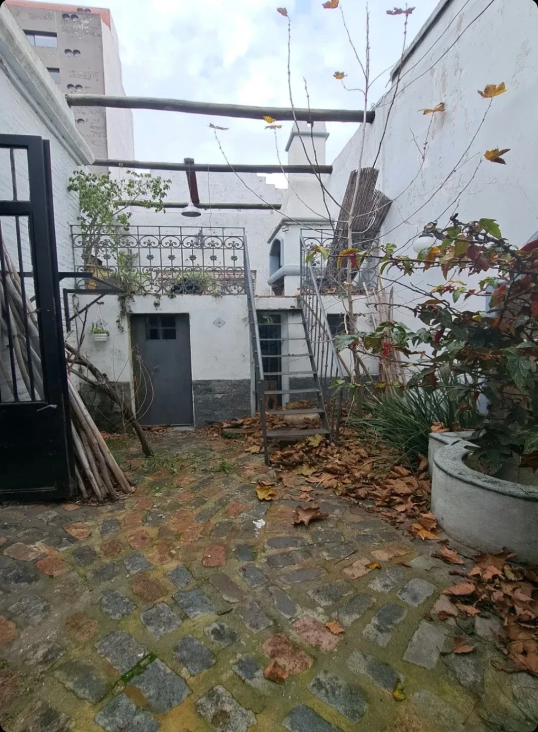Casa en alquiler en Parque Rodó - Imagen 3