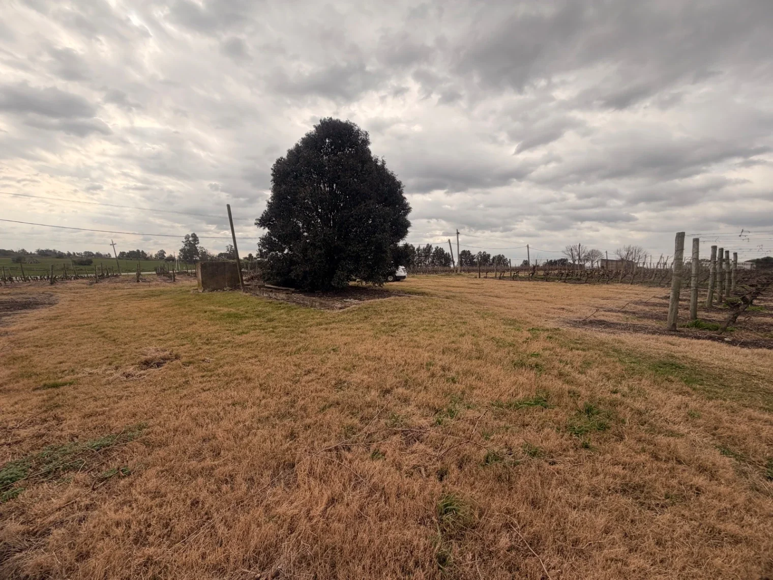Terreno en venta de 1361m2 ubicado en Canelon Chico - Imagen 5