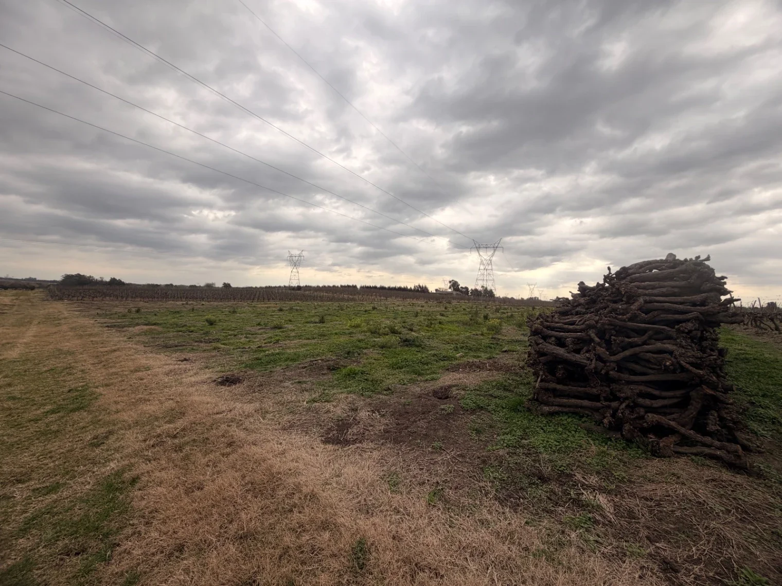 Campo en venta de 50000m2 ubicado en Canelon Chico - Imagen 5