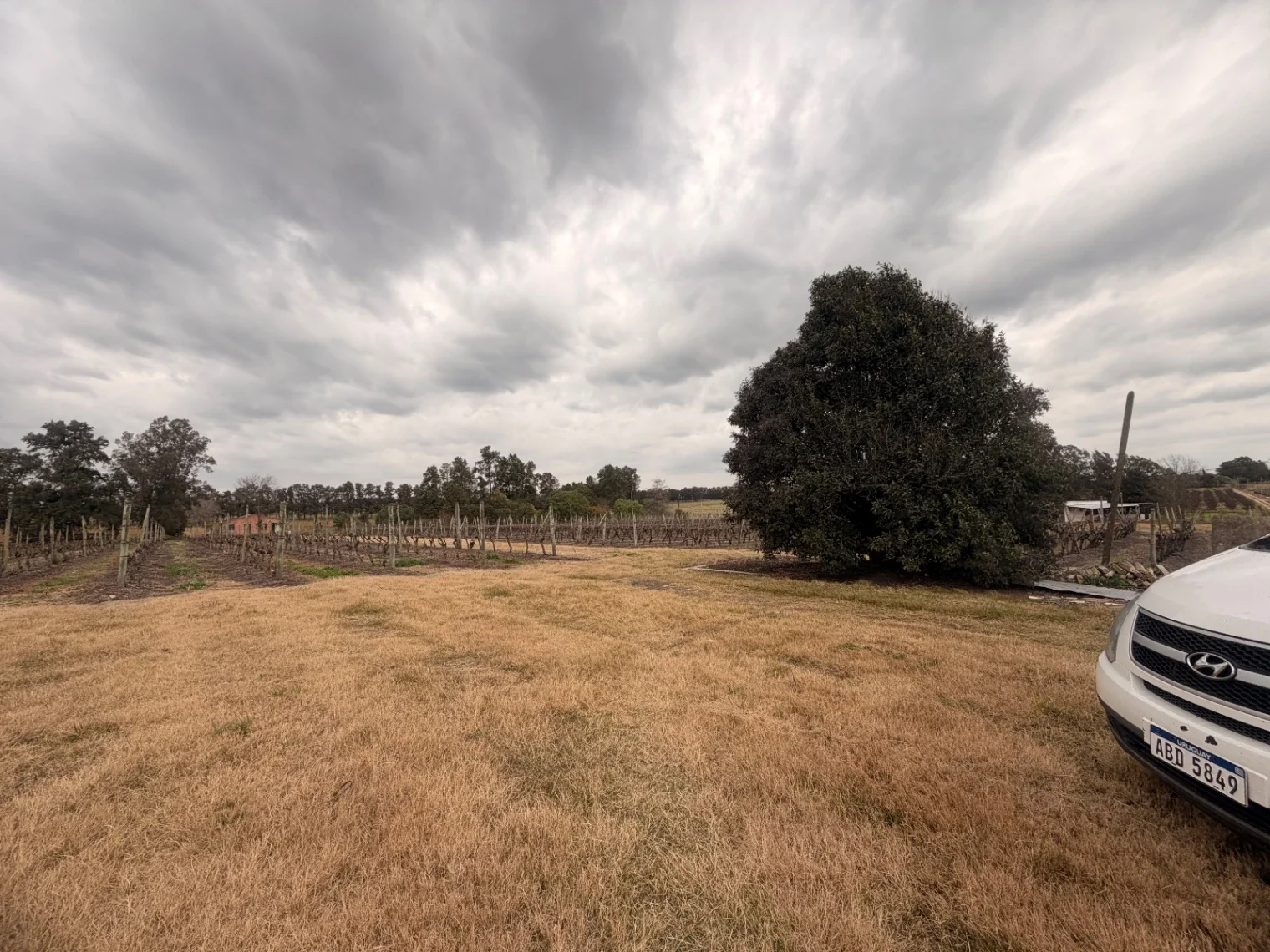 Terreno en venta de 1361m2 ubicado en Canelon Chico - Imagen 3