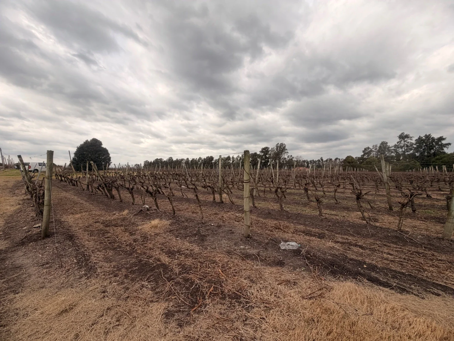 Terreno en venta de 1361m2 ubicado en Canelon Chico - Imagen 2