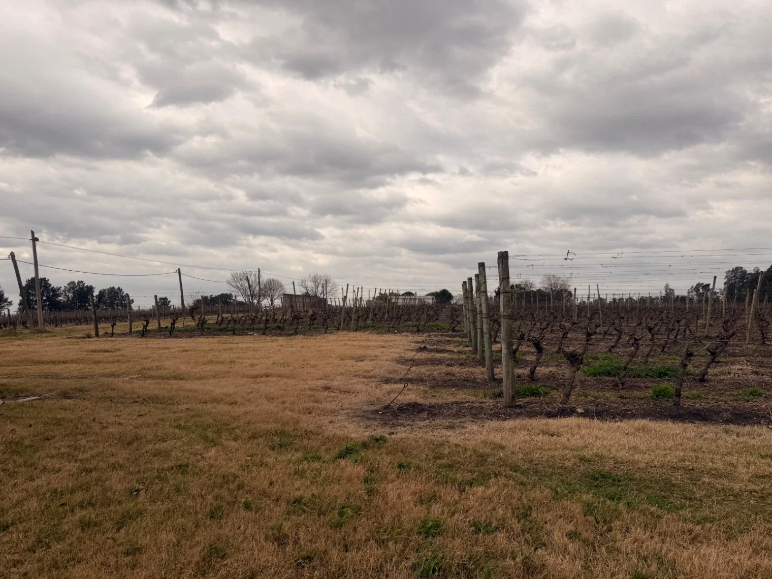 Terreno en venta de 1361m2 ubicado en Canelon Chico - Imagen 4