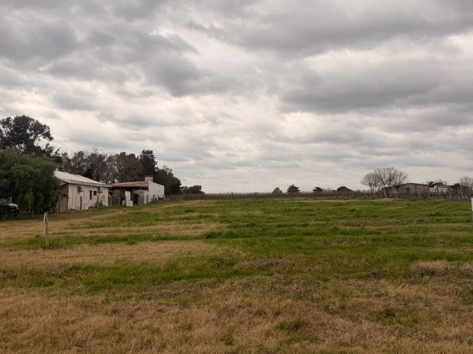 Terreno en venta de 1540m2 ubicado en Canelon Chico - Imagen 2