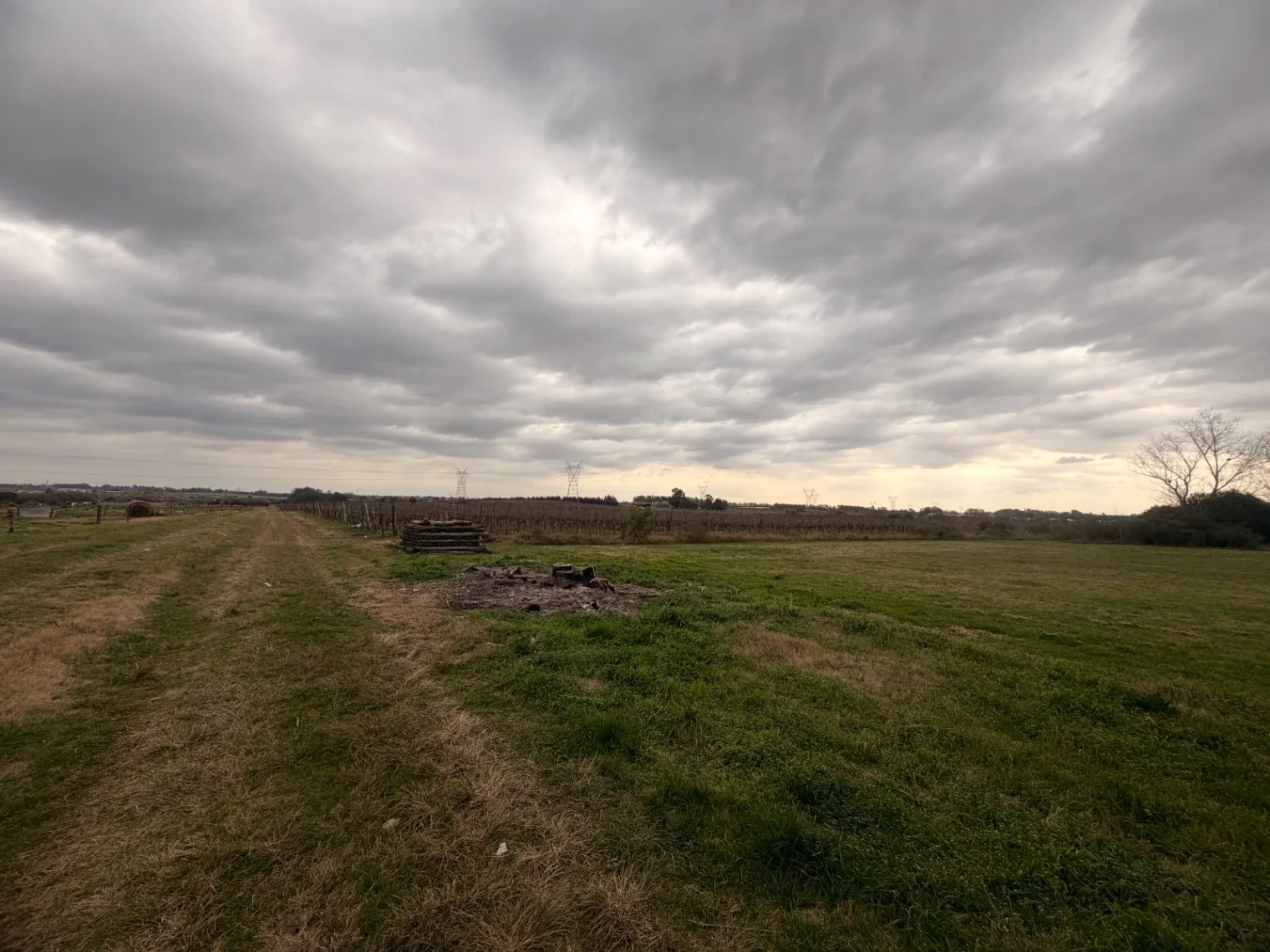 Campo en venta de 50000m2 ubicado en Canelon Chico - Imagen 3