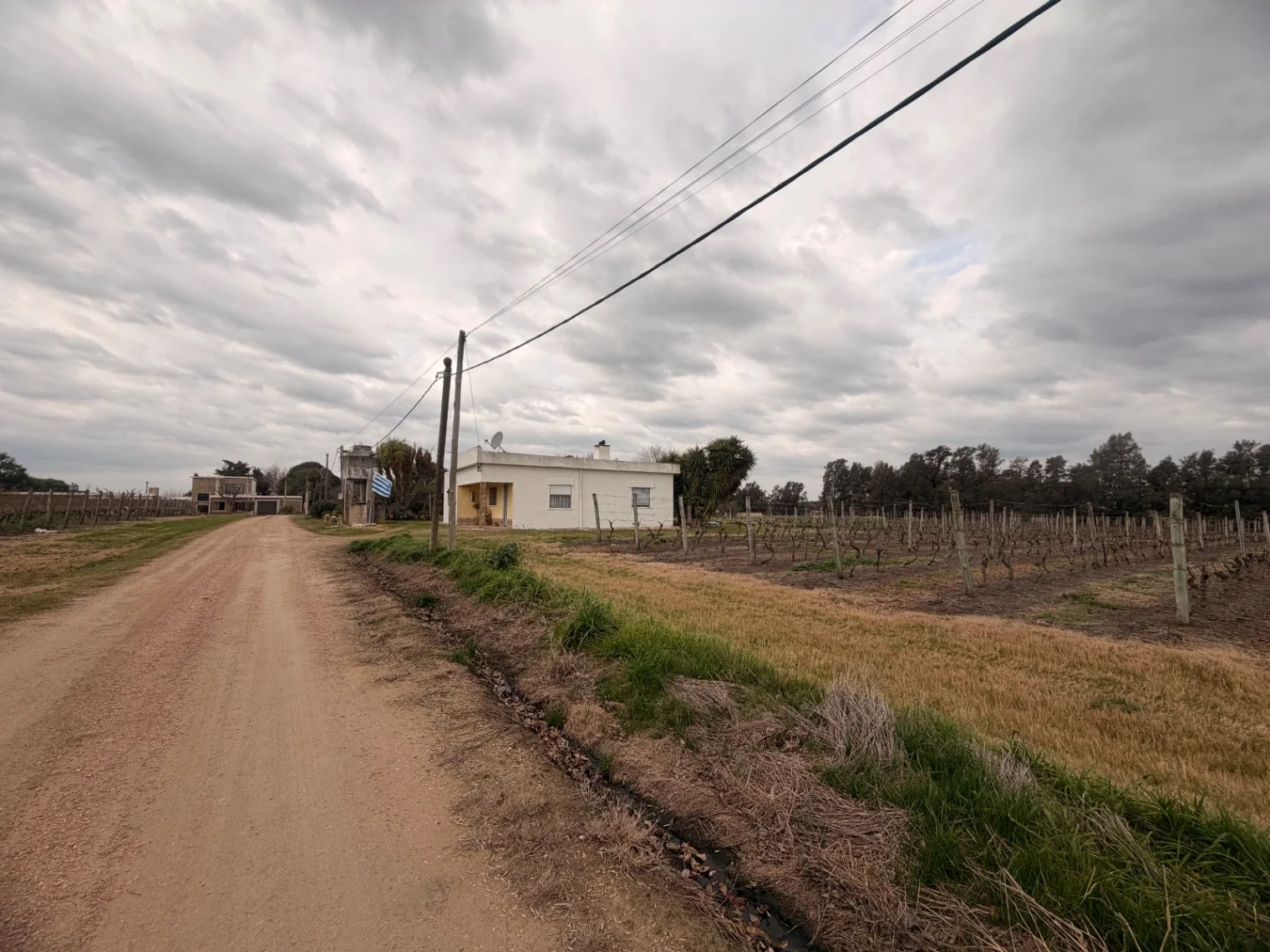 Quinta en venta de 120m2 ubicado en Canelon Chico - Imagen 2
