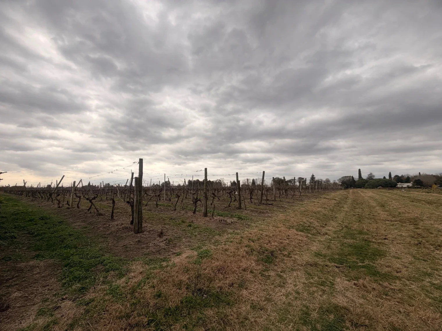 Campo en venta de 50000m2 ubicado en Canelon Chico - Imagen 4