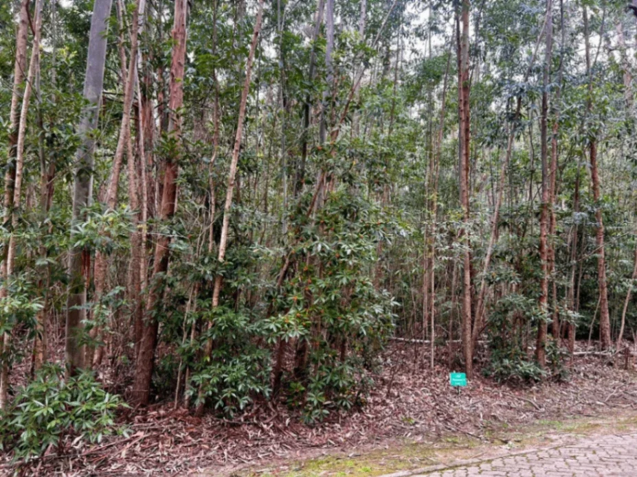 Terreno en venta de 1025m2 ubicado en Solanas - Imagen 3