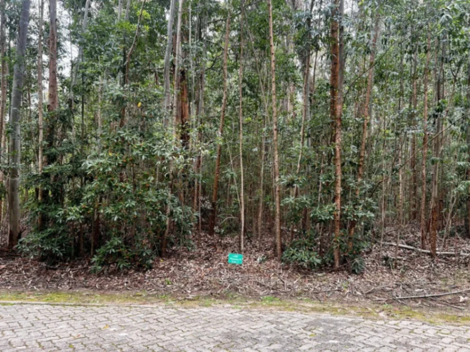 Terreno en venta de 1025m2 ubicado en Solanas - Imagen 2