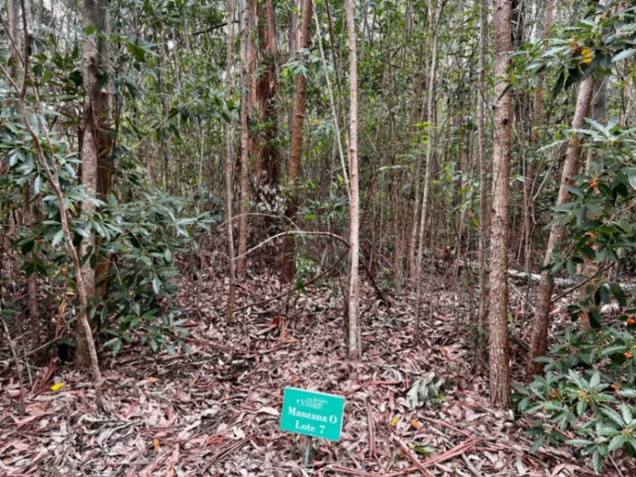 Terreno en venta de 1025m2 ubicado en Solanas - Imagen 4