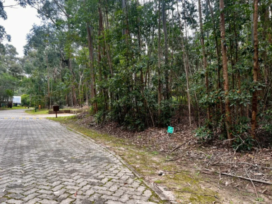 Terreno en venta de 1025m2 ubicado en Solanas - Imagen 5