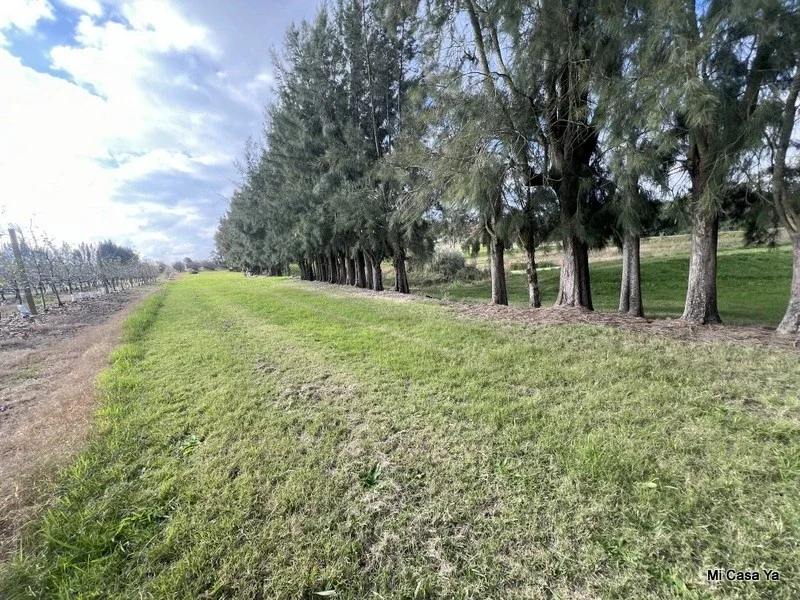 Chacra en venta de 4ha ubicado en Los Cerrillos - Imagen 2