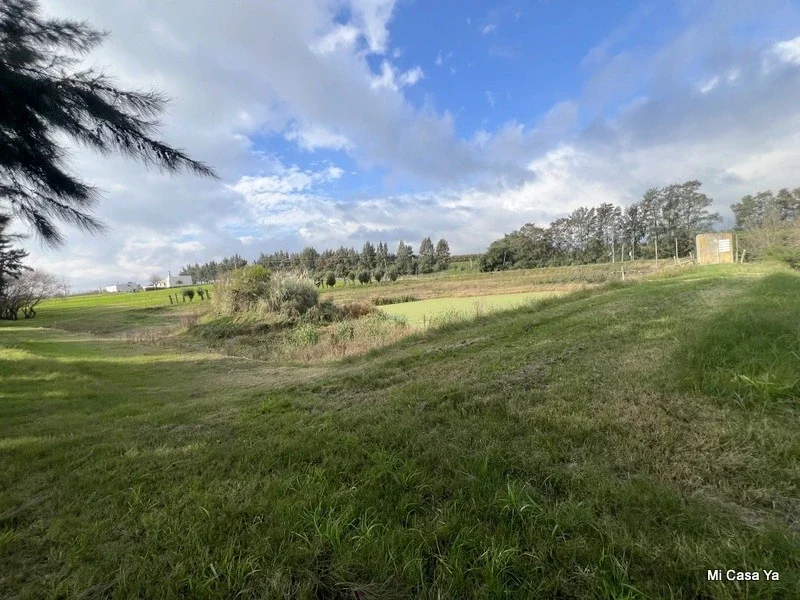 Chacra en venta de 4ha ubicado en Los Cerrillos - Imagen 5