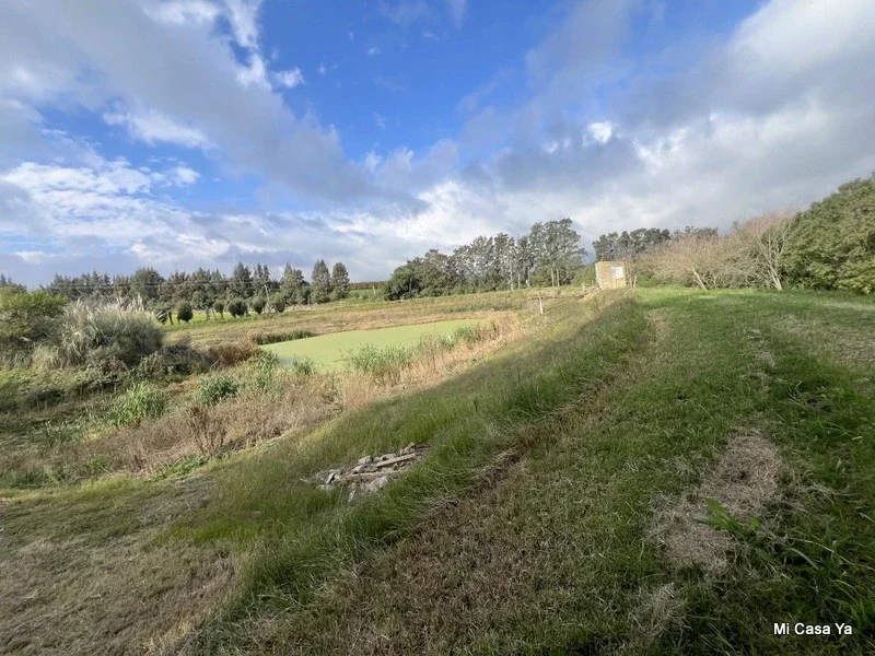 Chacra en venta de 4ha ubicado en Los Cerrillos - Imagen 4
