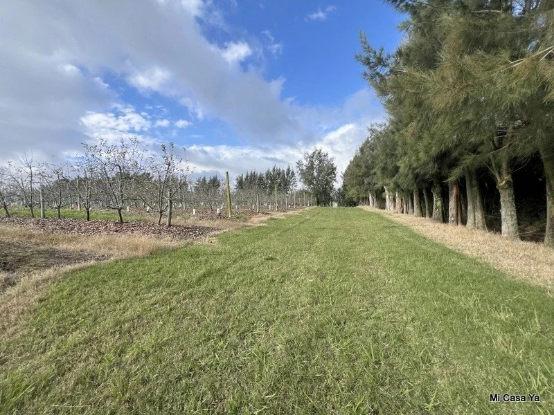 Chacra en venta de 4ha ubicado en Los Cerrillos - Imagen 3