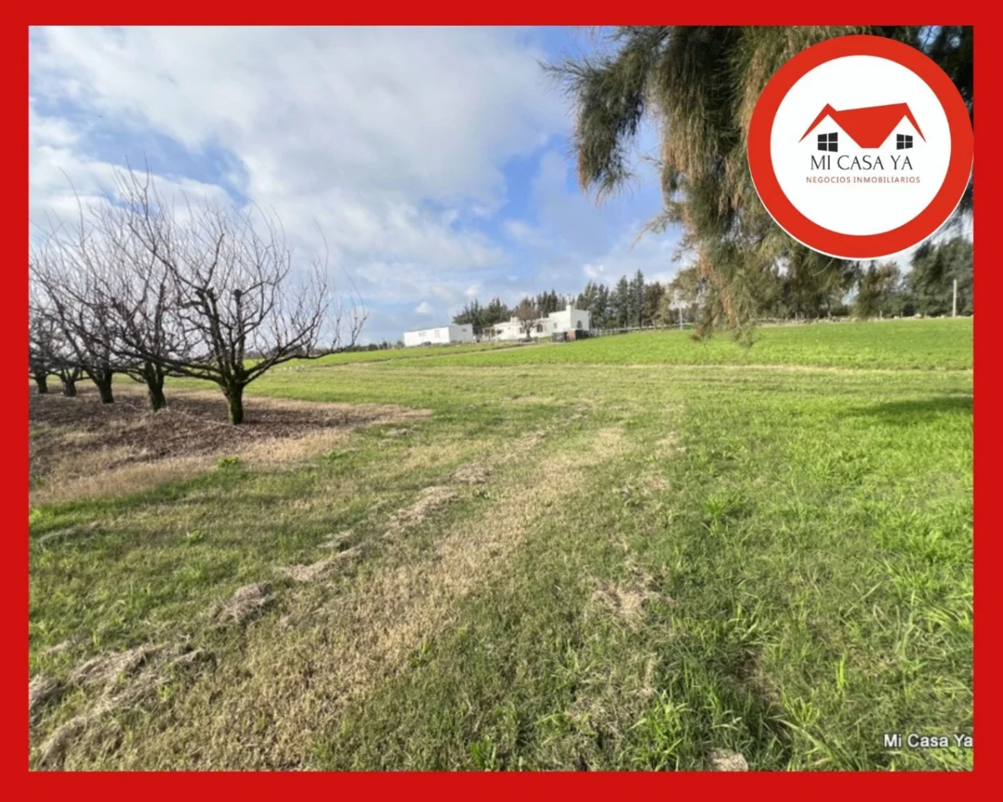 Chacra en venta de 4ha ubicado en Los Cerrillos - Imagen 1