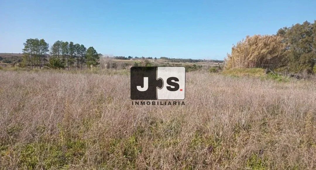 Quinta en venta de 1m2 ubicado en Pando - Imagen 3