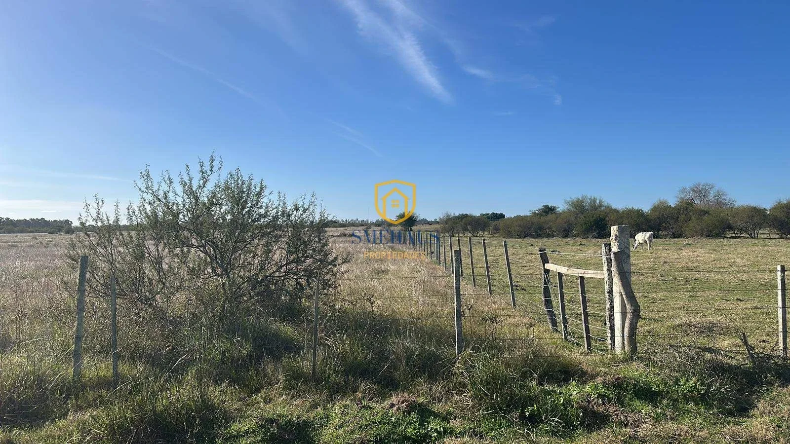 Chacra en venta en Santa Lucía con 3 Has - Imagen 1