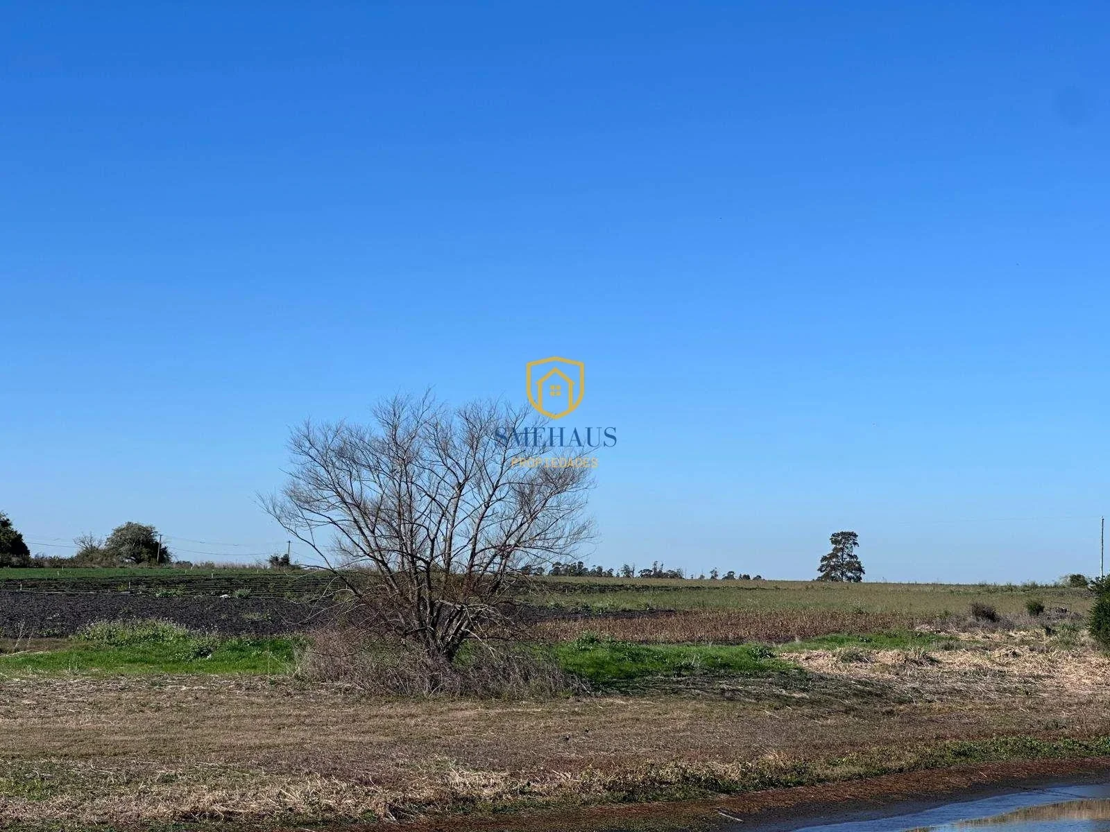 Campo en venta de 86647m2 ubicado en Canelones - Imagen 4