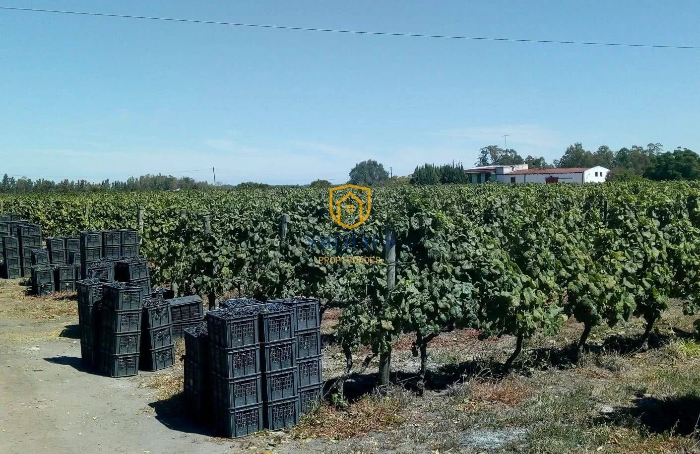 Chacra en venta de 51512m2 ubicado en Canelones - Imagen 2