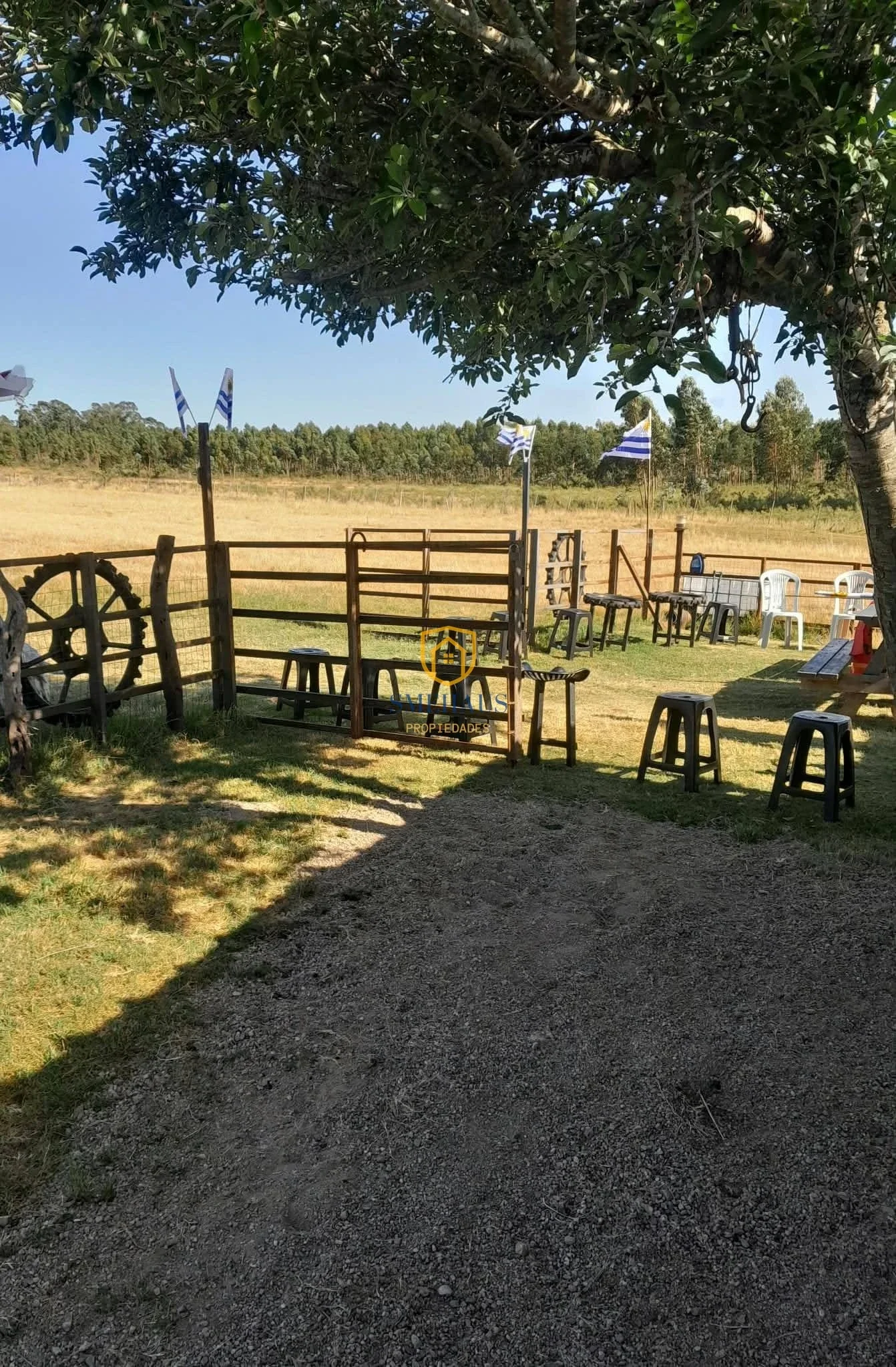 Chacra en venta en San Jacinto - Imagen 1