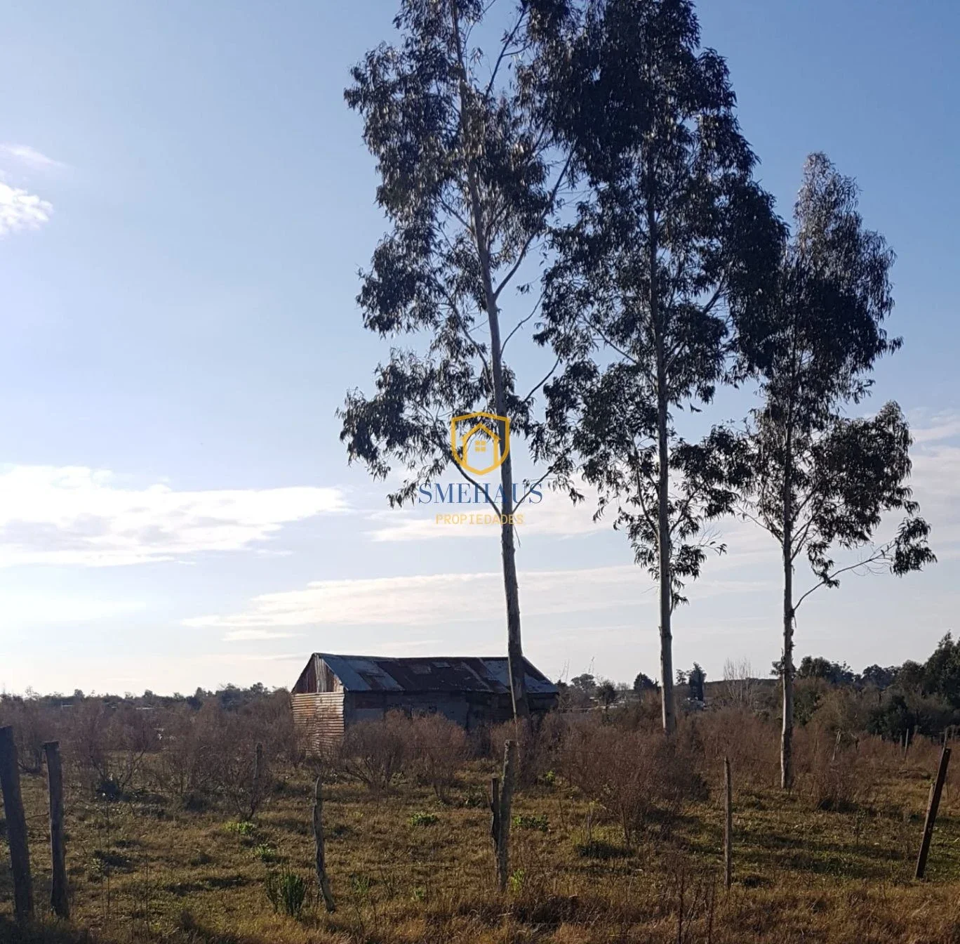 Terreno en venta en José Batlle y Ordoñez con 5000 m2 - Imagen 2