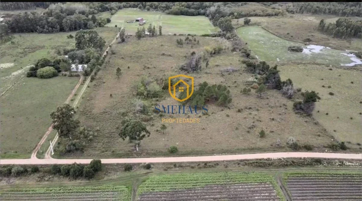 Campo en venta en Joaquín Suárez con 5 Has - Imagen 5