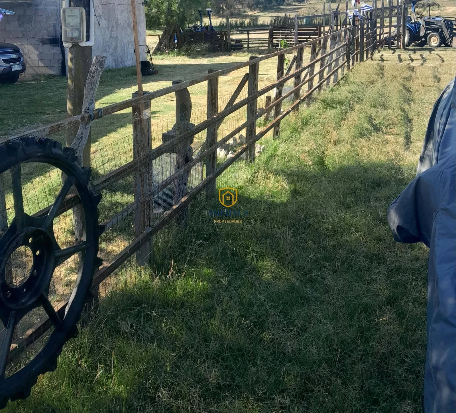 Chacra en venta en San Jacinto - Imagen 2