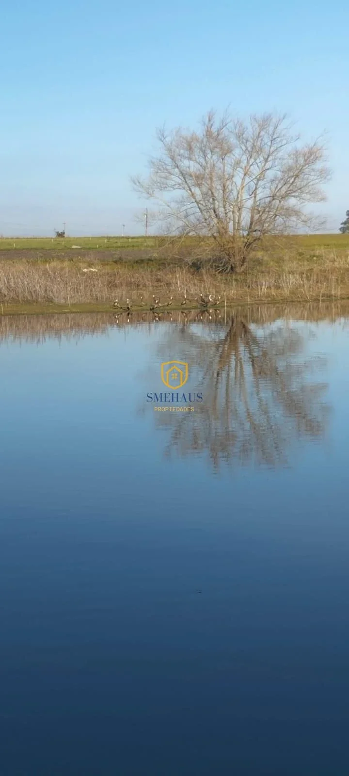 Campo en venta de 86647m2 ubicado en Canelones - Imagen 1