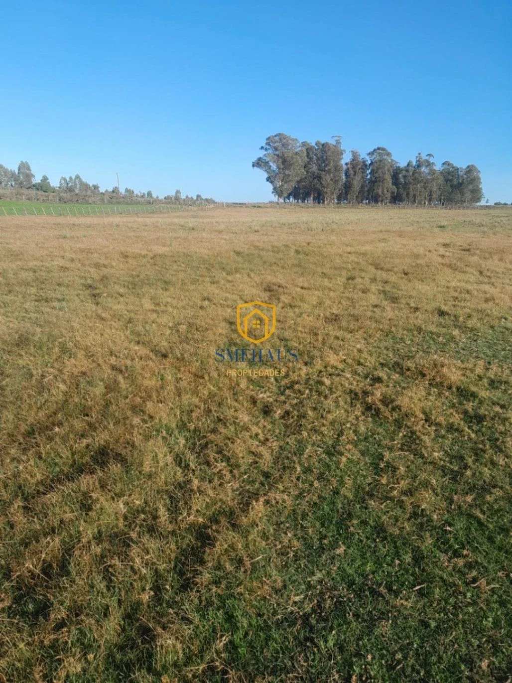 Terreno en venta de 3845m2 ubicado en San Jacinto - Imagen 2