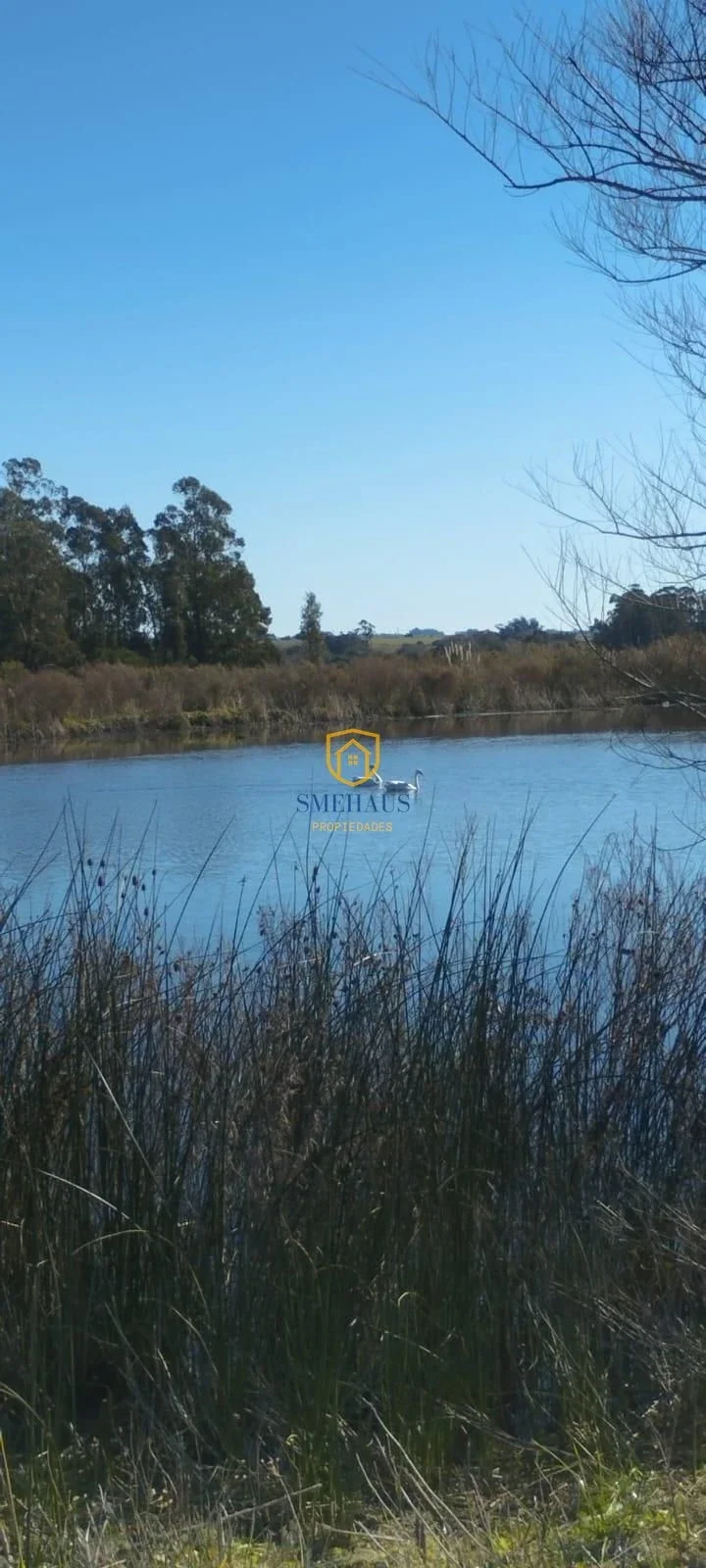 Campo en venta de 86647m2 ubicado en Canelones - Imagen 2