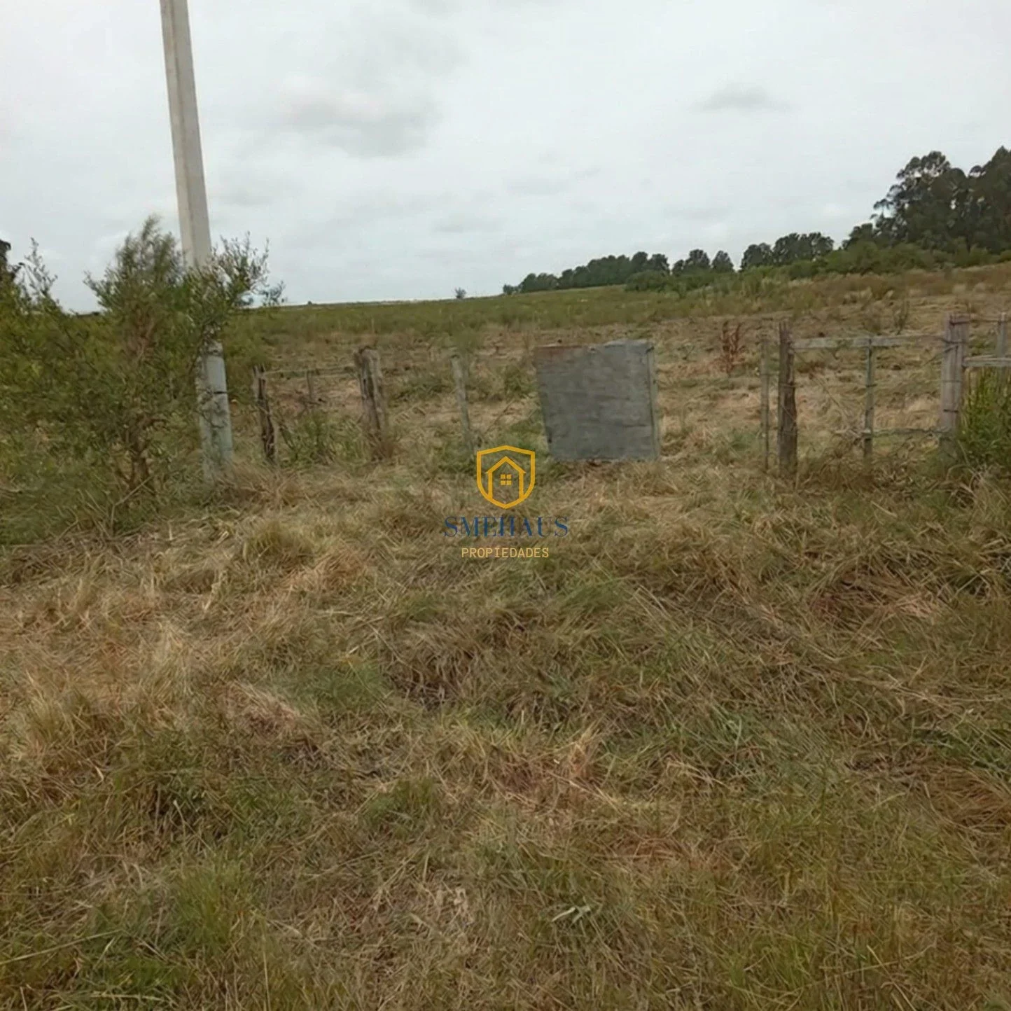Campo en venta de 14ha ubicado en Canelones - Imagen 4