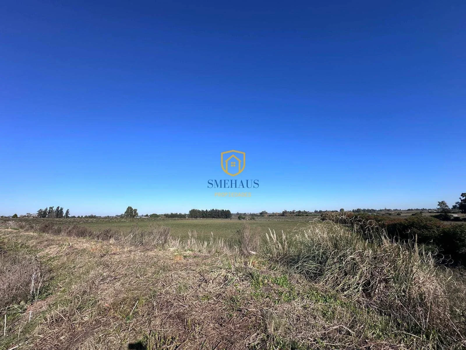Campo en venta de 86647m2 ubicado en Canelones - Imagen 3