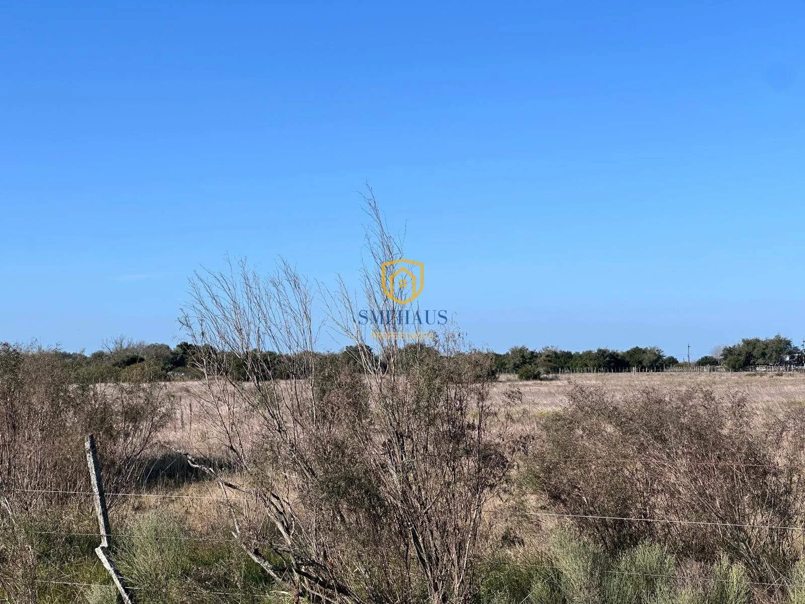 Chacra en venta en Santa Lucía con 3 Has - Imagen 3