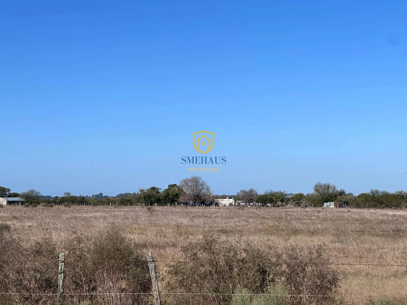 Chacra en venta en Santa Lucía con 3 Has - Imagen 2