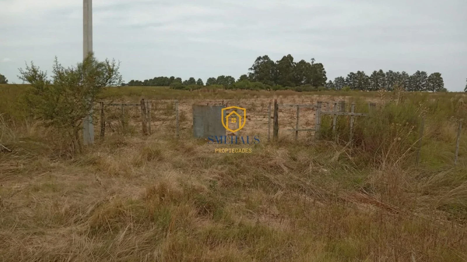 Campo en venta de 14ha ubicado en Canelones - Imagen 2