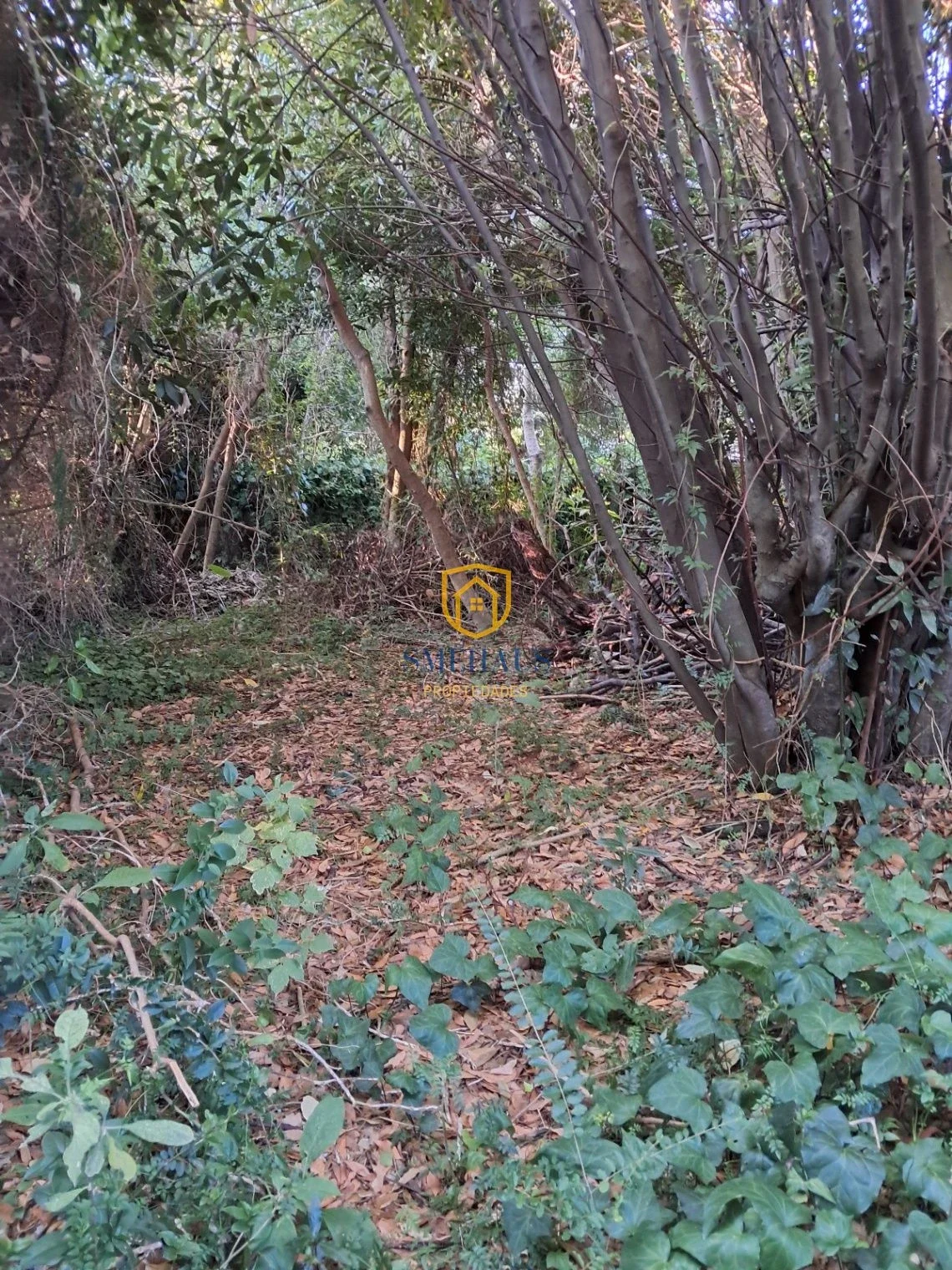 Casa en venta c/ cochera en Las Piedras - Imagen 4